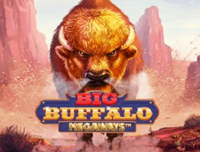 game logo by Skywind Group on pokiespinscasinoo.com