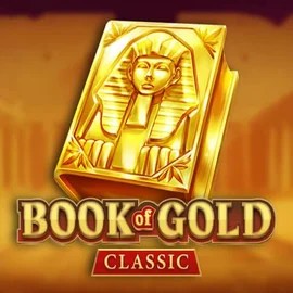 game logo by Playson on pokiespinscasinoo.com