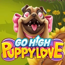 game logo by RubyPlay on pokiespinscasinoo.com